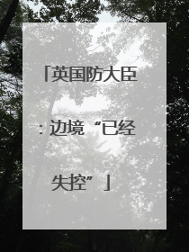 英国防大臣：边境“已经失控”