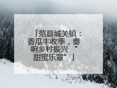范县城关镇：香瓜丰收季，奏响乡村振兴 “甜蜜乐章”