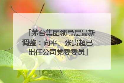 茅台集团领导层最新调整：向平、张贵超已出任公司党委委员