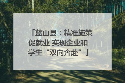 蓝山县：精准施策促就业 实现企业和学生“双向奔赴”