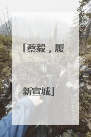 蔡毅，履新宣城