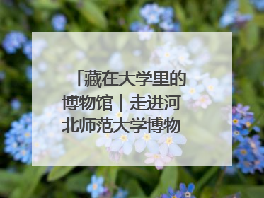 藏在大学里的博物馆｜走进河北师范大学博物馆天地科学馆：在校园里赴一场“宇宙之约”