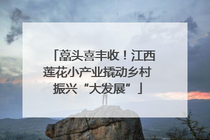 藠头喜丰收！江西莲花小产业撬动乡村振兴“大发展”