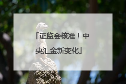 证监会核准！中央汇金新变化