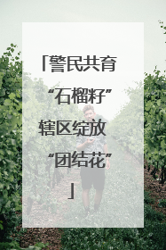 警民共育“石榴籽” 辖区绽放“团结花”