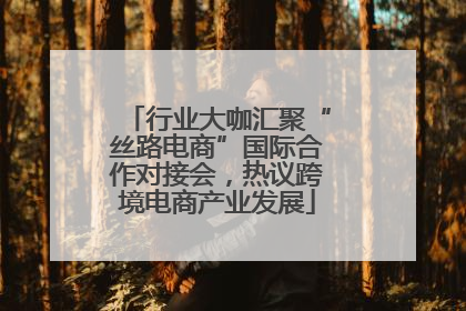 行业大咖汇聚“丝路电商”国际合作对接会，热议跨境电商产业发展