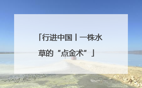 行进中国丨一株水草的“点金术”