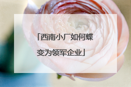 西南小厂如何蝶变为领军企业