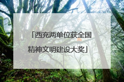 西充两单位获全国精神文明建设大奖