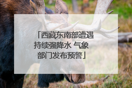 西藏东南部遭遇持续强降水 气象部门发布预警