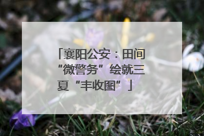 襄阳公安：田间“微警务”绘就三夏“丰收图”