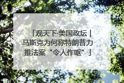 观天下·美国政坛｜马斯克为何称特朗普力推法案“令人作呕”