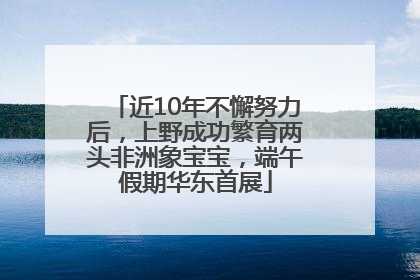 近10年不懈努力后，上野成功繁育两头非洲象宝宝，端午假期华东首展