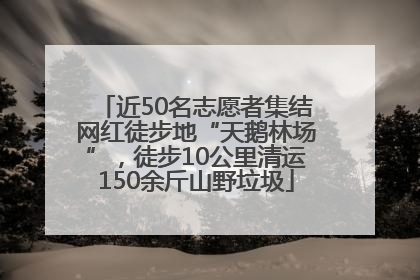 近50名志愿者集结网红徒步地“天鹅林场”，徒步10公里清运150余斤山野垃圾
