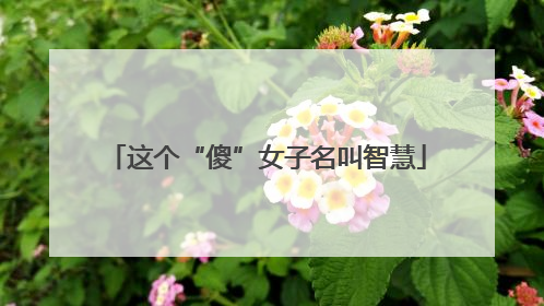 这个“傻”女子名叫智慧