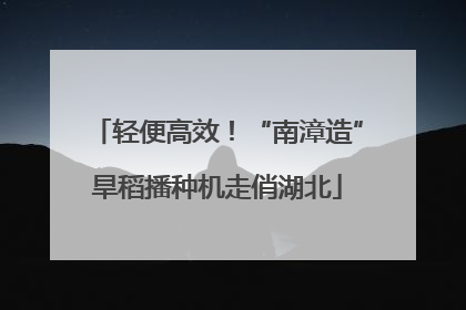 轻便高效！“南漳造”旱稻播种机走俏湖北