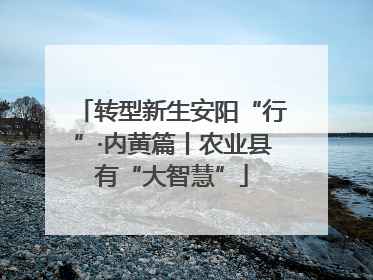 转型新生安阳“行”·内黄篇丨农业县有“大智慧”