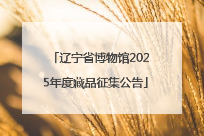 辽宁省博物馆2025年度藏品征集公告