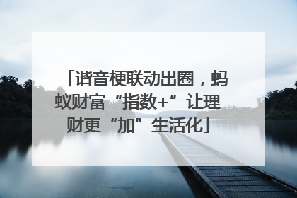 谐音梗联动出圈，蚂蚁财富“指数+”让理财更“加”生活化