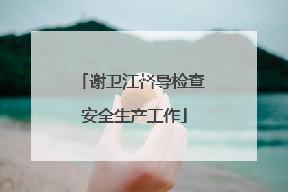 谢卫江督导检查安全生产工作