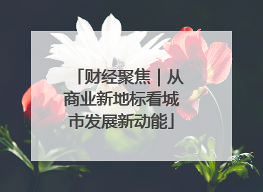 财经聚焦｜从商业新地标看城市发展新动能