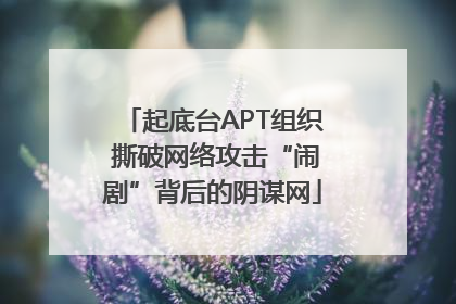 起底台APT组织 撕破网络攻击“闹剧”背后的阴谋网