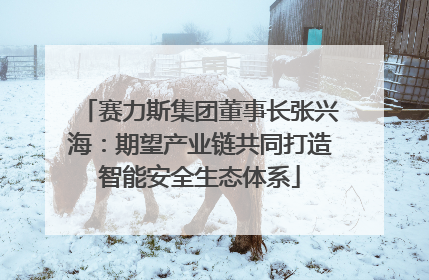 赛力斯集团董事长张兴海：期望产业链共同打造智能安全生态体系