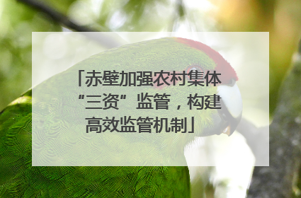赤壁加强农村集体“三资”监管，构建高效监管机制