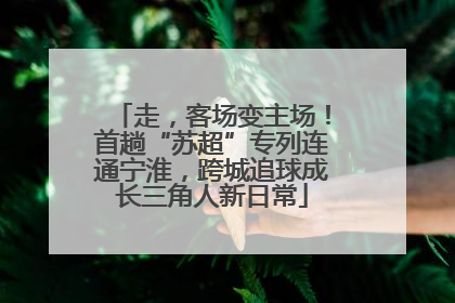 走，客场变主场！首趟“苏超”专列连通宁淮，跨城追球成长三角人新日常