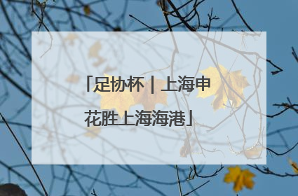足协杯｜上海申花胜上海海港