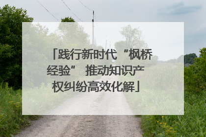 践行新时代“枫桥经验” 推动知识产权纠纷高效化解