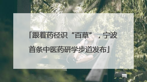跟着药径识“百草”，宁波首条中医药研学步道发布