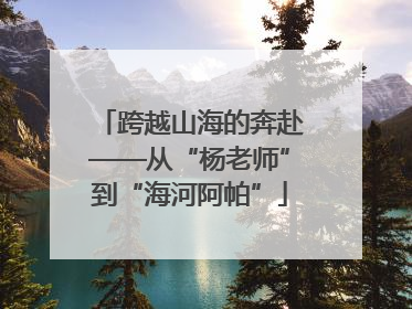跨越山海的奔赴——从“杨老师”到“海河阿帕”