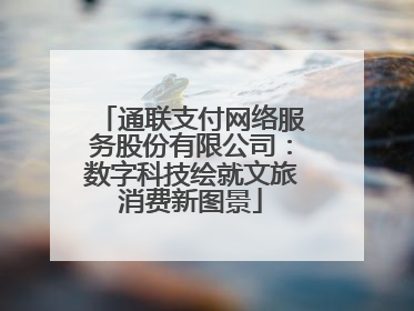通联支付网络服务股份有限公司：数字科技绘就文旅消费新图景
