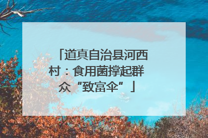 道真自治县河西村：食用菌撑起群众“致富伞”