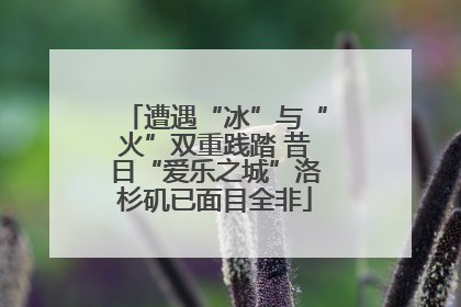 遭遇“冰”与“火”双重践踏 昔日“爱乐之城”洛杉矶已面目全非