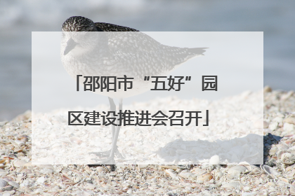 邵阳市“五好”园区建设推进会召开