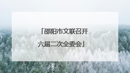 邵阳市文联召开六届二次全委会