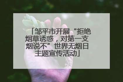 邹平市开展“拒绝烟草诱惑，对第一支烟说不”世界无烟日主题宣传活动