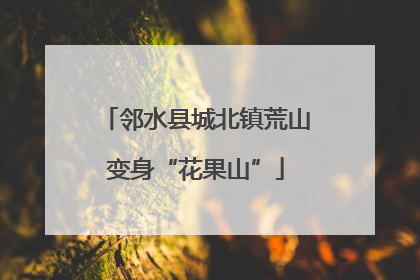 邻水县城北镇荒山变身“花果山”