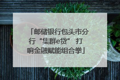 邮储银行包头市分行“集群e贷” 打响金融赋能组合拳