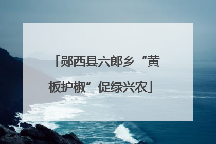 郧西县六郎乡“黄板护椒”促绿兴农