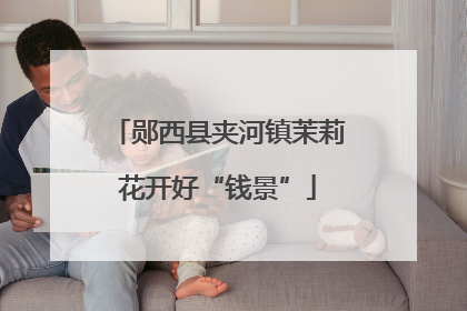 郧西县夹河镇茉莉花开好“钱景”