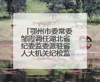 鄂州市委常委邹霞调任湖北省纪委监委派驻省人大机关纪检监察组组长