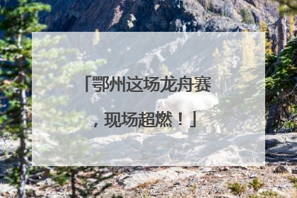 鄂州这场龙舟赛，现场超燃！