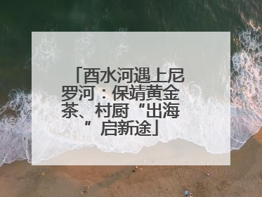 酉水河遇上尼罗河：保靖黄金茶、村厨“出海”启新途