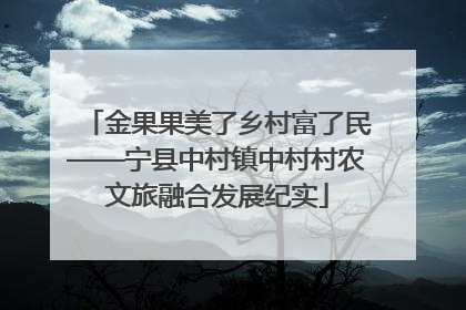 金果果美了乡村富了民——宁县中村镇中村村农文旅融合发展纪实