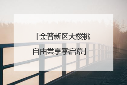 金普新区大樱桃自由尝享季启幕
