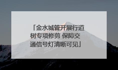 金水城管开展行道树专项修剪 保障交通信号灯清晰可见