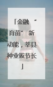金融 “育苗” 新动能，莘县种业拔节长